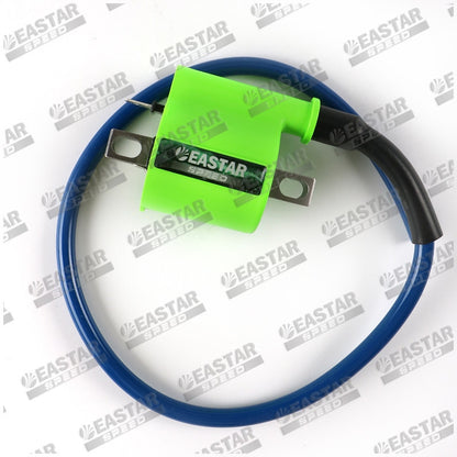 Ignition Coil for FI & Carb Engines - Options